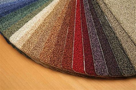 The Growing Popularity of Snapdragon Carpets